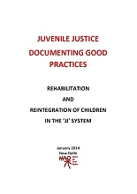 Juvenile Justice Documenting Good Practices